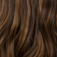 Dark Brown with Blonde Highlight